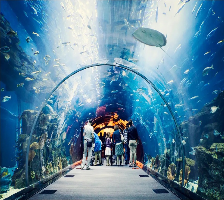Dubai Mall Aquarium